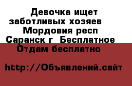 Девочка ищет заботливых хозяев!!! - Мордовия респ., Саранск г. Бесплатное » Отдам бесплатно   